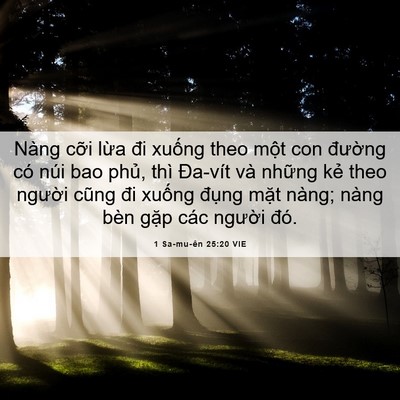 Picture 06 - 1 Sa-mu-ên 25:20 VIE - Nàng cỡi lừa đi xuống theo một con - Bible Verse Picture