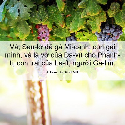 Picture 06 - 1 Sa-mu-ên 25:44 VIE - Vả, Sau-lơ đã gả Mi-canh, con gái mình, - Bible Verse Picture