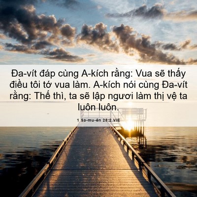 Picture 06 - 1 Sa-mu-ên 28:2 VIE - Đa-vít đáp cùng A-kích rằng: Vua sẽ - Bible Verse Picture