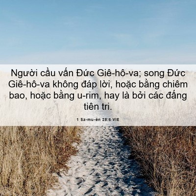 Picture 06 - 1 Sa-mu-ên 28:6 VIE - Người cầu vấn Đức Giê-hô-va; song - Bible Verse Picture