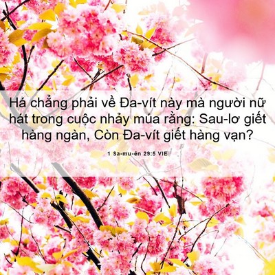 Picture 06 - 1 Sa-mu-ên 29:5 VIE - Há chẳng phải về Đa-vít này mà - Bible Verse Picture