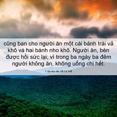 Picture 06 - 1 Sa-mu-ên 30:12 VIE - cũng ban cho người ăn một cái bánh trái - Bible Verse Picture