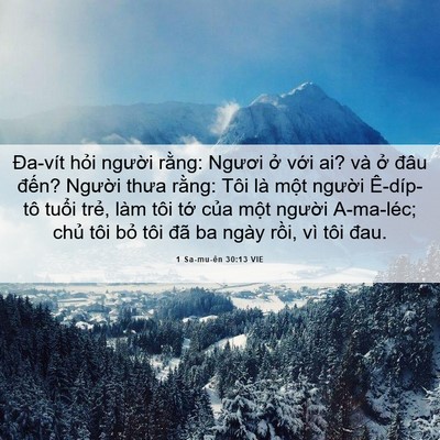 Picture 06 - 1 Sa-mu-ên 30:13 VIE - Đa-vít hỏi người rằng: Ngươi ở với - Bible Verse Picture