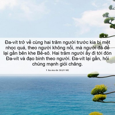 Picture 06 - 1 Sa-mu-ên 30:21 VIE - Đa-vít trở về cùng hai trăm người - Bible Verse Picture