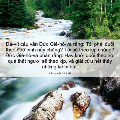 Picture 06 - 1 Sa-mu-ên 30:8 VIE - Đa-vít cầu vấn Đức Giê-hô-va rằng: - Bible Verse Picture