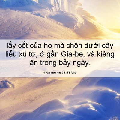 Picture 06 - 1 Sa-mu-ên 31:13 VIE - lấy cốt của họ mà chôn dưới cây - Bible Verse Picture