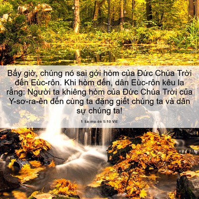 Picture 06 - 1 Sa-mu-ên 5:10 VIE - Bấy giờ, chúng nó sai gởi hòm của - Bible Verse Picture