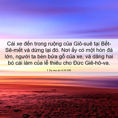 Picture 06 - 1 Sa-mu-ên 6:14 VIE - Cái xe đến trong ruộng của Giô-suê - Bible Verse Picture