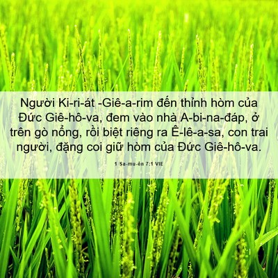 Picture 06 - 1 Sa-mu-ên 7:1 VIE - Người Ki-ri-át -Giê-a-rim đến thỉnh - Bible Verse Picture