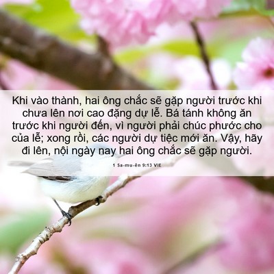 Picture 06 - 1 Sa-mu-ên 9:13 VIE - Khi vào thành, hai ông chắc sẽ gặp - Bible Verse Picture