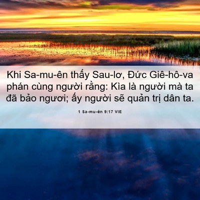 Picture 06 - 1 Sa-mu-ên 9:17 VIE - Khi Sa-mu-ên thấy Sau-lơ, Đức Giê-hô-va - Bible Verse Picture
