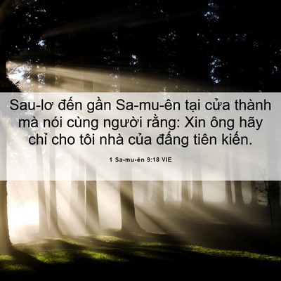 Picture 06 - 1 Sa-mu-ên 9:18 VIE - Sau-lơ đến gần Sa-mu-ên tại cửa thành - Bible Verse Picture