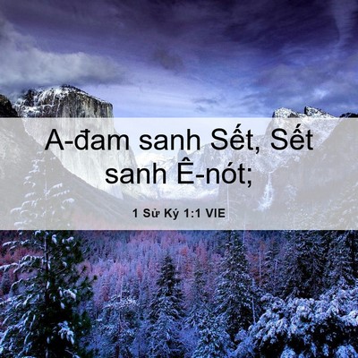 Picture 06 - 1 Sử Ký 1:1 VIE - A-đam sanh Sết, Sết sanh - Bible Verse Picture