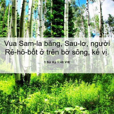 Picture 06 - 1 Sử Ký 1:48 VIE - Vua Sam-la băng, Sau-lơ, người Rê-hô-bốt - Bible Verse Picture