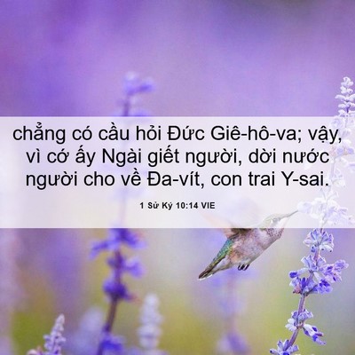 Picture 06 - 1 Sử Ký 10:14 VIE - chẳng có cầu hỏi Đức Giê-hô-va; - Bible Verse Picture