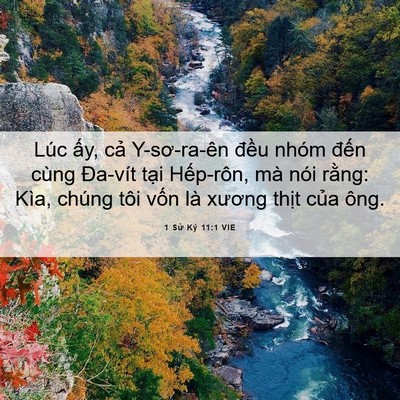 Picture 06 - 1 Sử Ký 11:1 VIE - Lúc ấy, cả Y-sơ-ra-ên đều nhóm đến - Bible Verse Picture