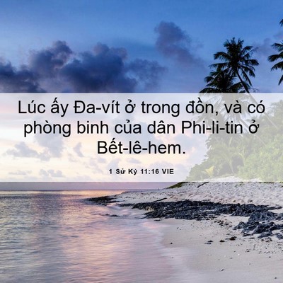 Picture 06 - 1 Sử Ký 11:16 VIE - Lúc ấy Đa-vít ở trong đồn, và có - Bible Verse Picture
