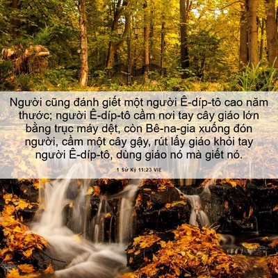 Picture 06 - 1 Sử Ký 11:23 VIE - Người cũng đánh giết một người - Bible Verse Picture
