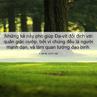 Picture 06 - 1 Sử Ký 12:21 VIE - Những kẻ nầy phò giúp Đa-vít đối - Bible Verse Picture