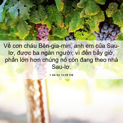Picture 06 - 1 Sử Ký 12:29 VIE - Về con cháu Bên-gia-min, anh em của - Bible Verse Picture