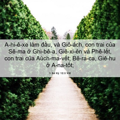 Picture 06 - 1 Sử Ký 12:3 VIE - A-hi-ê-xe làm đầu, và Giô-ách, con trai - Bible Verse Picture