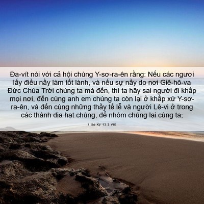 Picture 06 - 1 Sử Ký 13:2 VIE - Đa-vít nói với cả hội chúng - Bible Verse Picture