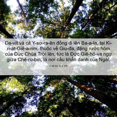Picture 06 - 1 Sử Ký 13:6 VIE - Đa-vít và cả Y-sơ-ra-ên đồng đi lên - Bible Verse Picture