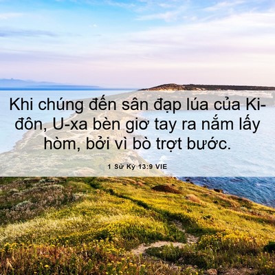 Picture 06 - 1 Sử Ký 13:9 VIE - Khi chúng đến sân đạp lúa của - Bible Verse Picture