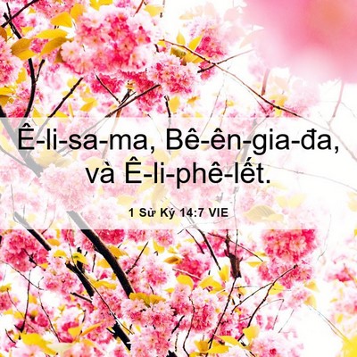 Picture 06 - 1 Sử Ký 14:7 VIE - Ê-li-sa-ma, Bê-ên-gia-đa, và - Bible Verse Picture