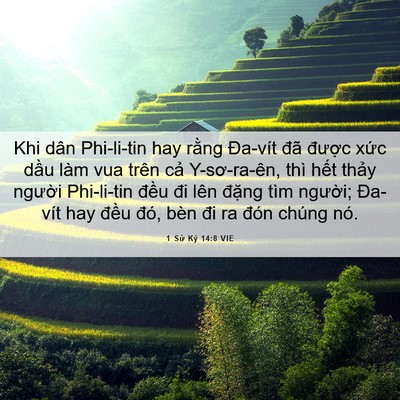 Picture 06 - 1 Sử Ký 14:8 VIE - Khi dân Phi-li-tin hay rằng Đa-vít đã - Bible Verse Picture
