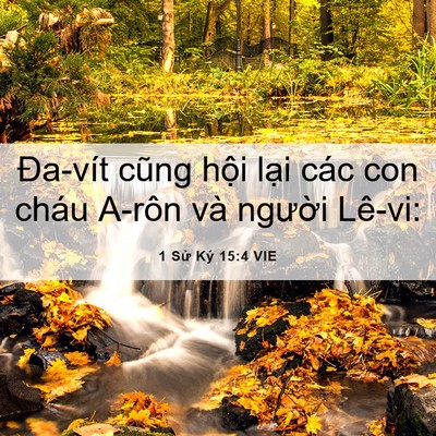 Picture 06 - 1 Sử Ký 15:4 VIE - Đa-vít cũng hội lại các con cháu A-rôn - Bible Verse Picture