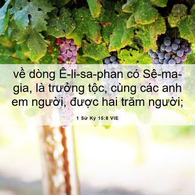 Picture 06 - 1 Sử Ký 15:8 VIE - về dòng Ê-li-sa-phan có Sê-ma-gia, là - Bible Verse Picture