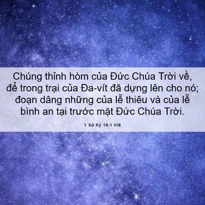 Picture 06 - 1 Sử Ký 16:1 VIE - Chúng thỉnh hòm của Đức Chúa Trời - Bible Verse Picture