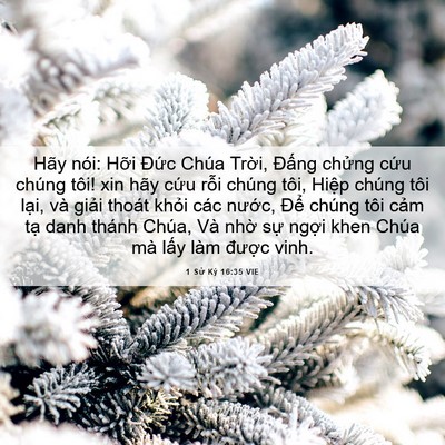 Picture 06 - 1 Sử Ký 16:35 VIE - Hãy nói: Hỡi Đức Chúa Trời, Đấng - Bible Verse Picture