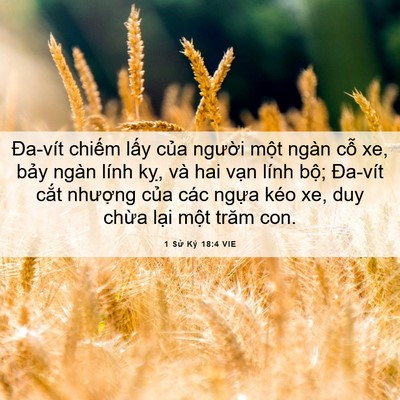 Picture 06 - 1 Sử Ký 18:4 VIE - Đa-vít chiếm lấy của người một ngàn - Bible Verse Picture