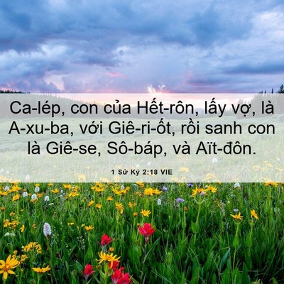 Picture 06 - 1 Sử Ký 2:18 VIE - Ca-lép, con của Hết-rôn, lấy vợ, là - Bible Verse Picture