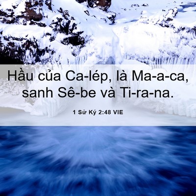Picture 06 - 1 Sử Ký 2:48 VIE - Hầu của Ca-lép, là Ma-a-ca, sanh Sê-be và - Bible Verse Picture