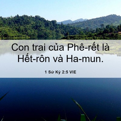 Picture 06 - 1 Sử Ký 2:5 VIE - Con trai của Phê-rết là Hết-rôn và - Bible Verse Picture