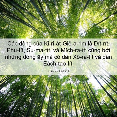 Picture 06 - 1 Sử Ký 2:53 VIE - Các dòng của Ki-ri-át-Giê-a-rim là - Bible Verse Picture