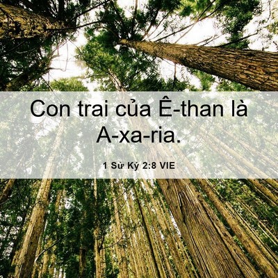 Picture 06 - 1 Sử Ký 2:8 VIE - Con trai của Ê-than là - Bible Verse Picture