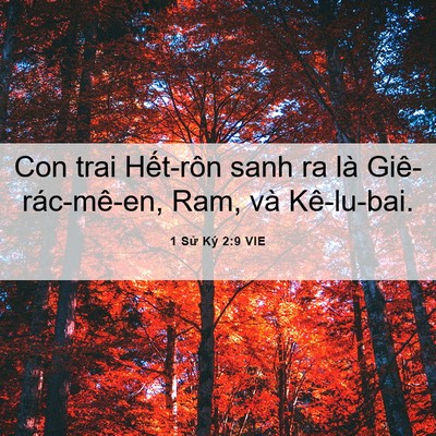 Picture 06 - 1 Sử Ký 2:9 VIE - Con trai Hết-rôn sanh ra là Giê-rác-mê-en, - Bible Verse Picture