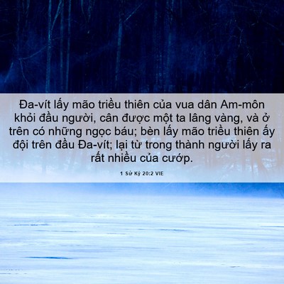Picture 06 - 1 Sử Ký 20:2 VIE - Đa-vít lấy mão triều thiên của vua dân - Bible Verse Picture