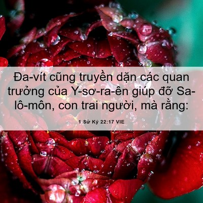 Picture 06 - 1 Sử Ký 22:17 VIE - Đa-vít cũng truyền dặn các quan trưởng - Bible Verse Picture
