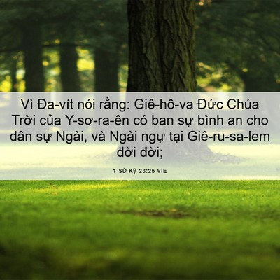 Picture 06 - 1 Sử Ký 23:25 VIE - Vì Đa-vít nói rằng: Giê-hô-va Đức - Bible Verse Picture