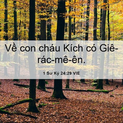 Picture 06 - 1 Sử Ký 24:29 VIE - Về con cháu Kích có - Bible Verse Picture