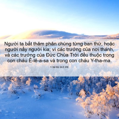 Picture 06 - 1 Sử Ký 24:5 VIE - Người ta bắt thăm phân chúng từng ban - Bible Verse Picture