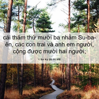 Picture 06 - 1 Sử Ký 25:20 VIE - cái thăm thứ mười ba nhằm Su-ba-ên, - Bible Verse Picture