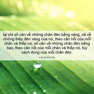 Picture 06 - 1 Sử Ký 28:15 VIE - lại chỉ số cân về những chân đèn - Bible Verse Picture