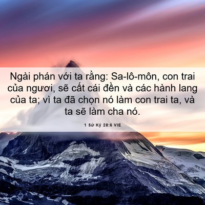 Picture 06 - 1 Sử Ký 28:6 VIE - Ngài phán với ta rằng: Sa-lô-môn, con - Bible Verse Picture