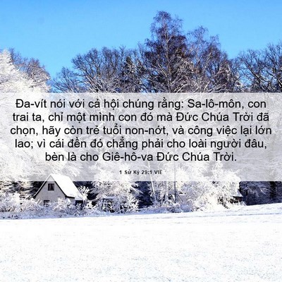 Picture 06 - 1 Sử Ký 29:1 VIE - Đa-vít nói với cả hội chúng rằng: - Bible Verse Picture
